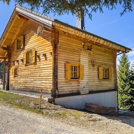 Vila 1A Chalet Enzianhuette - Ski Fahren Und Indoor Sauna Elsenbrunn Exteriér fotografie