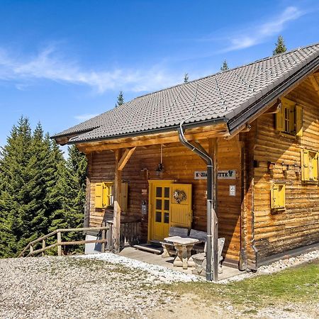 Vila 1A Chalet Enzianhuette - Ski Fahren Und Indoor Sauna Elsenbrunn Exteriér fotografie