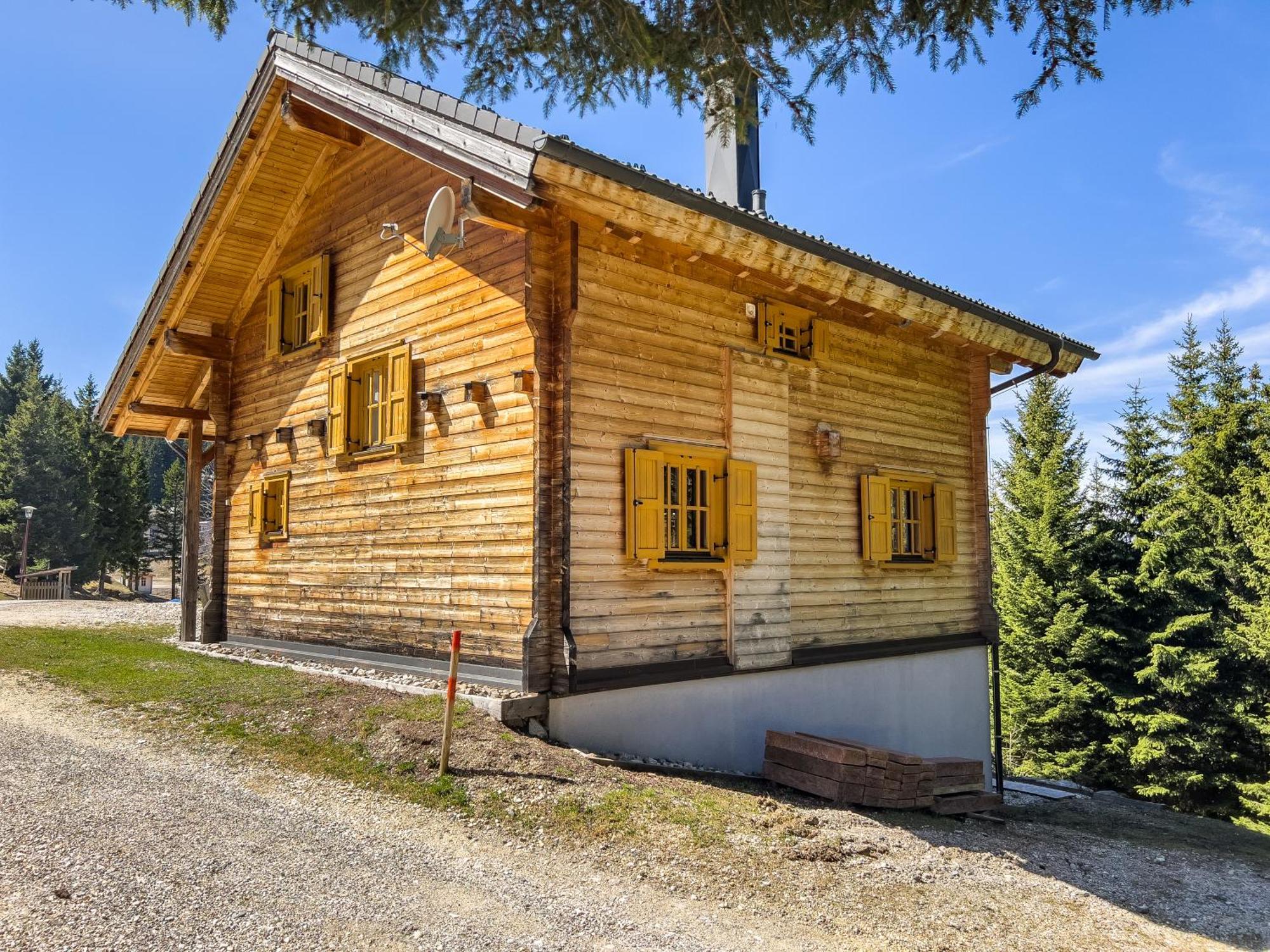 Vila 1A Chalet Enzianhuette - Ski Fahren Und Indoor Sauna Elsenbrunn Exteriér fotografie