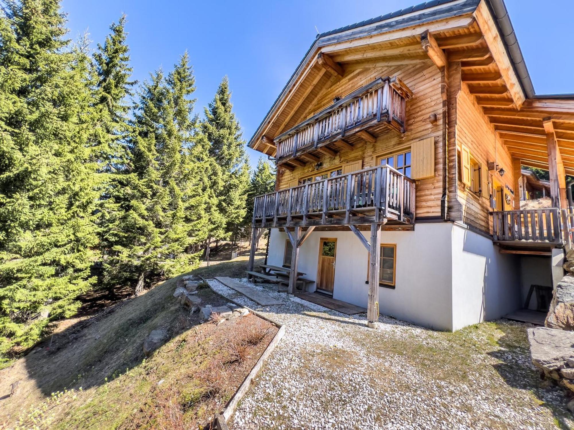 Vila 1A Chalet Enzianhuette - Ski Fahren Und Indoor Sauna Elsenbrunn Exteriér fotografie