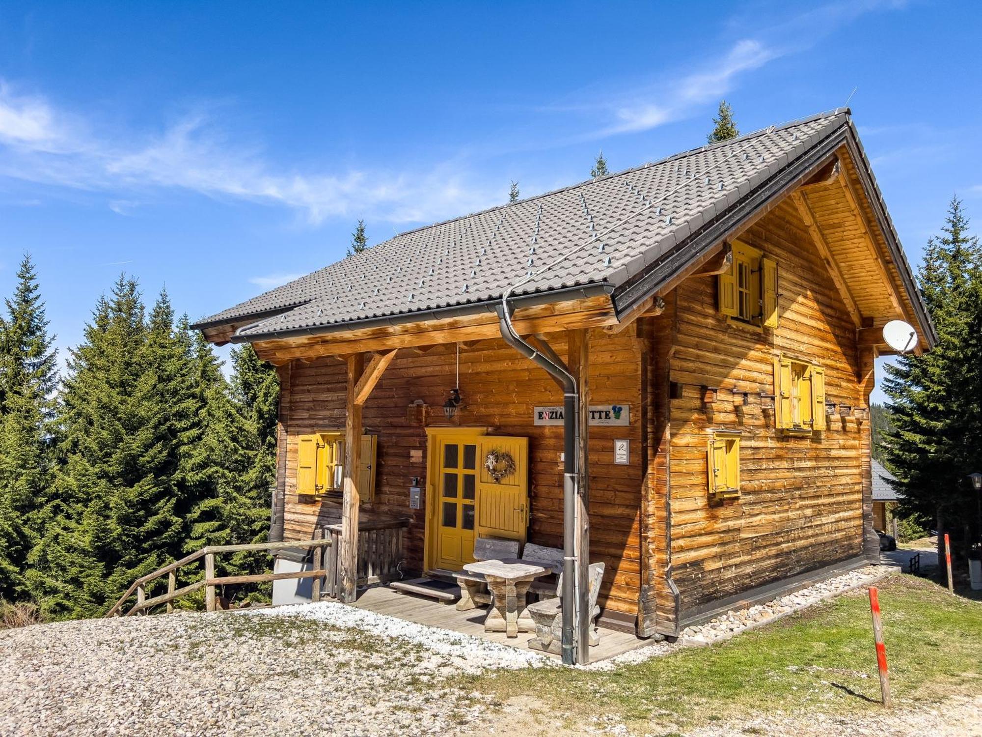 Vila 1A Chalet Enzianhuette - Ski Fahren Und Indoor Sauna Elsenbrunn Exteriér fotografie