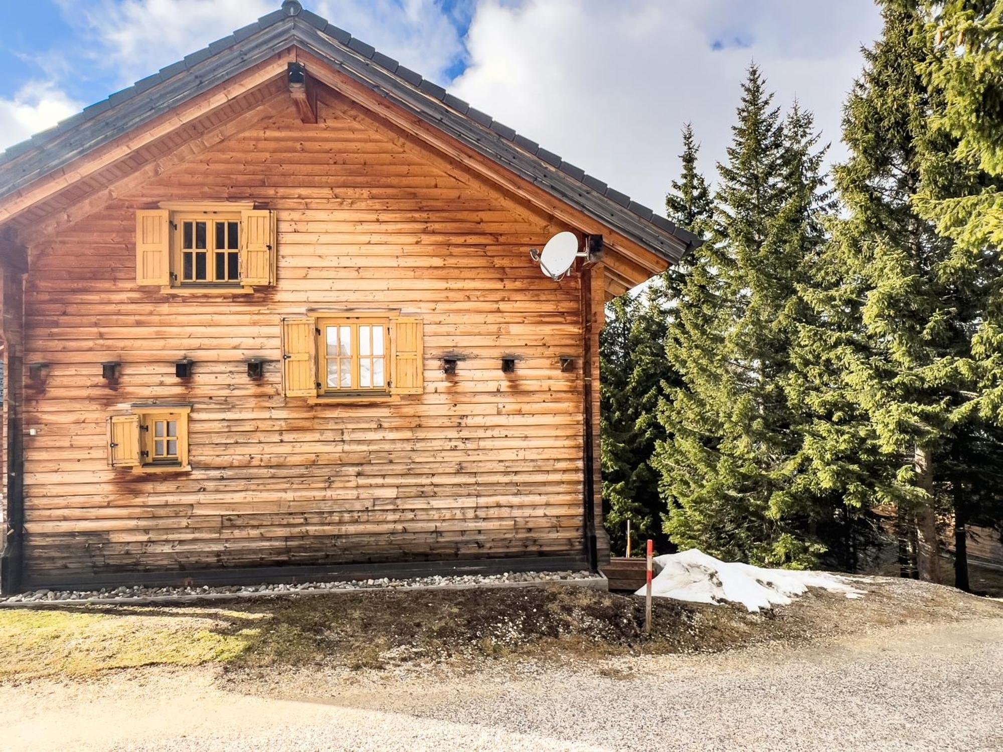 Vila 1A Chalet Enzianhuette - Ski Fahren Und Indoor Sauna Elsenbrunn Exteriér fotografie