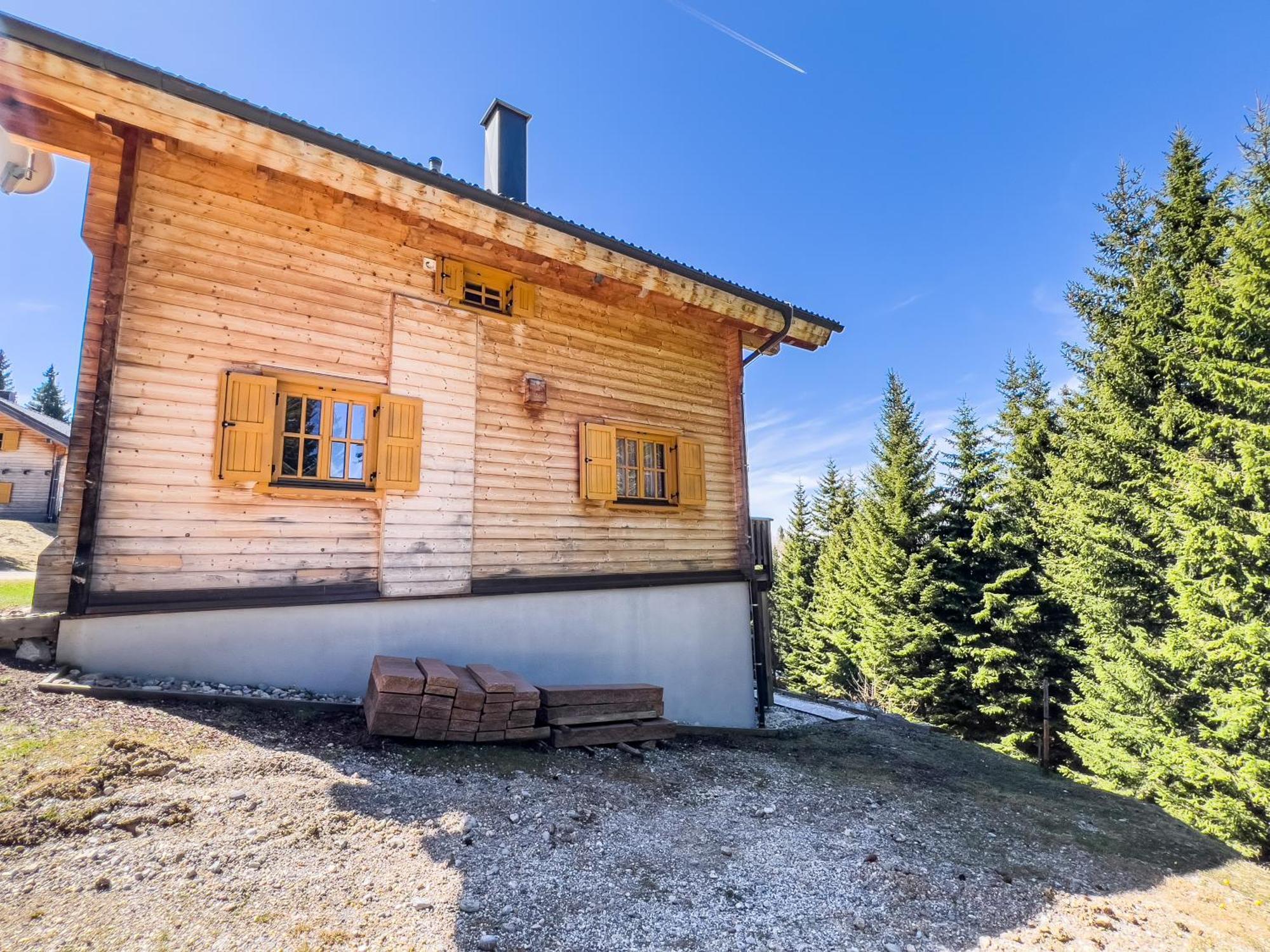 Vila 1A Chalet Enzianhuette - Ski Fahren Und Indoor Sauna Elsenbrunn Exteriér fotografie