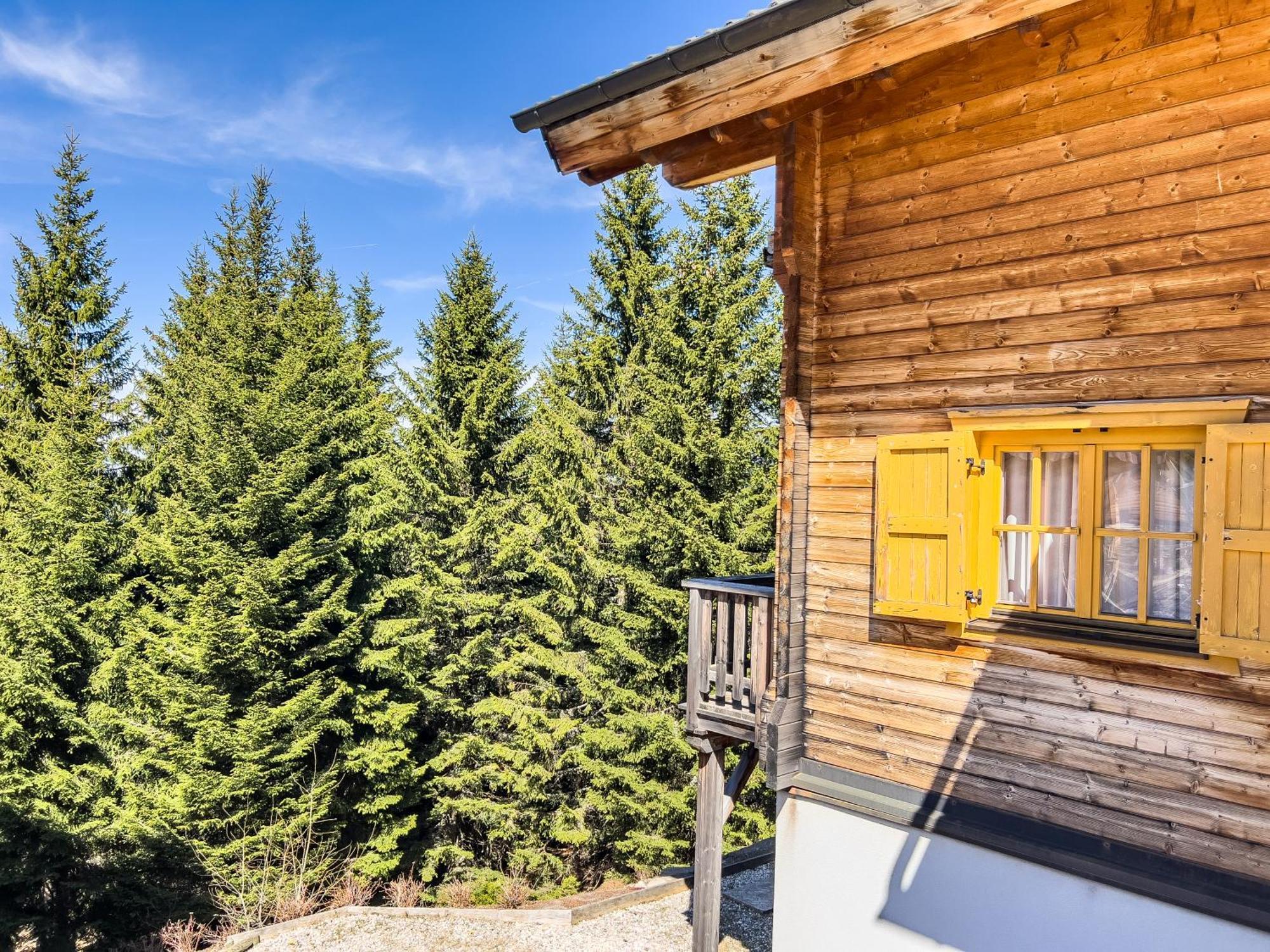 Vila 1A Chalet Enzianhuette - Ski Fahren Und Indoor Sauna Elsenbrunn Exteriér fotografie