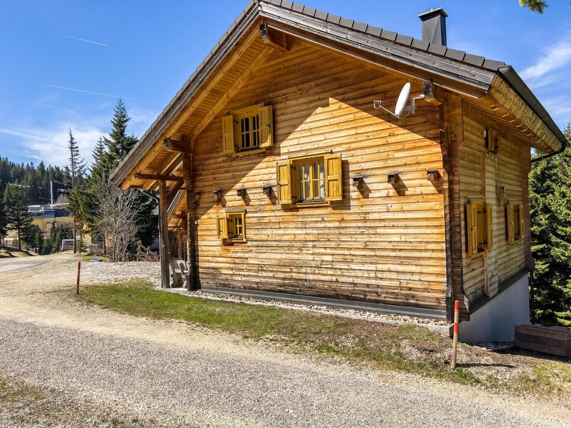 Vila 1A Chalet Enzianhuette - Ski Fahren Und Indoor Sauna Elsenbrunn Exteriér fotografie