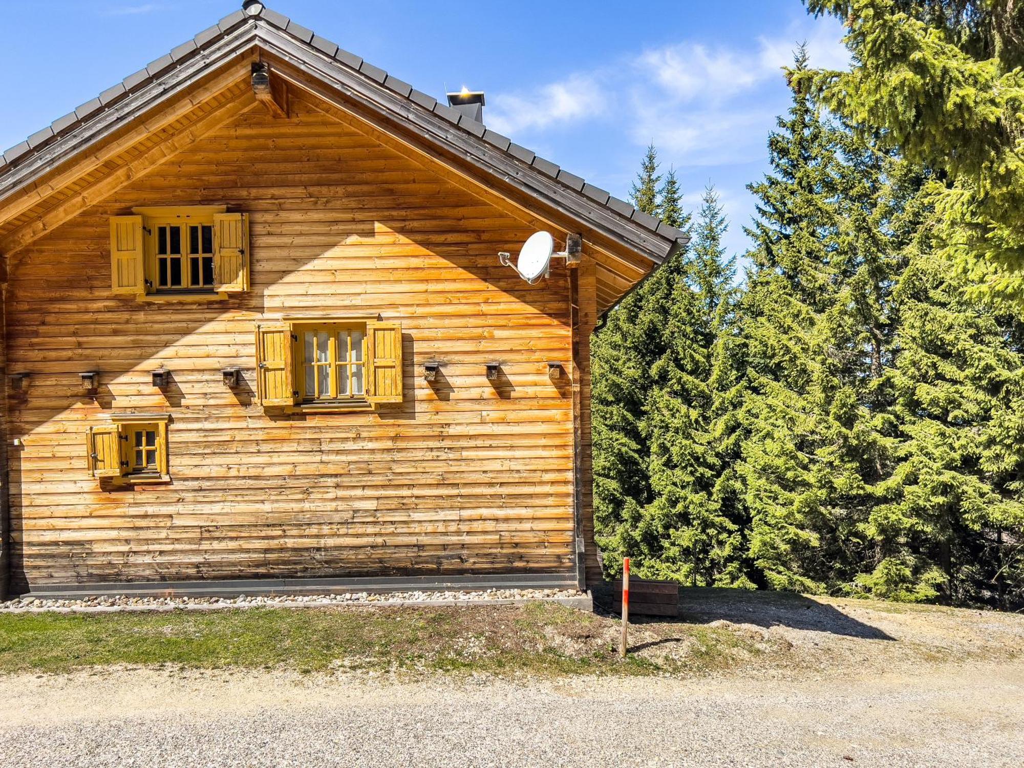 Vila 1A Chalet Enzianhuette - Ski Fahren Und Indoor Sauna Elsenbrunn Exteriér fotografie