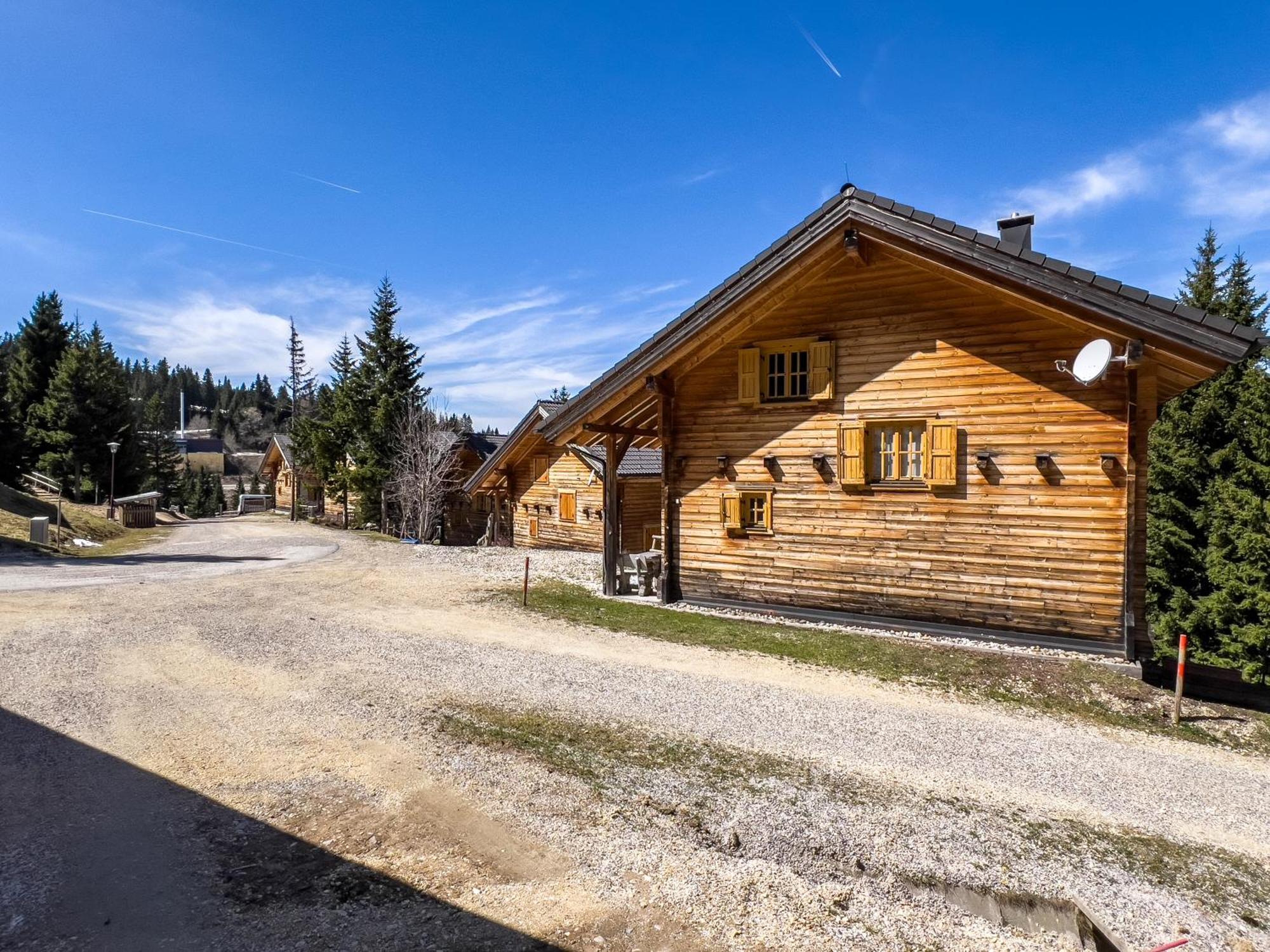 Vila 1A Chalet Enzianhuette - Ski Fahren Und Indoor Sauna Elsenbrunn Exteriér fotografie