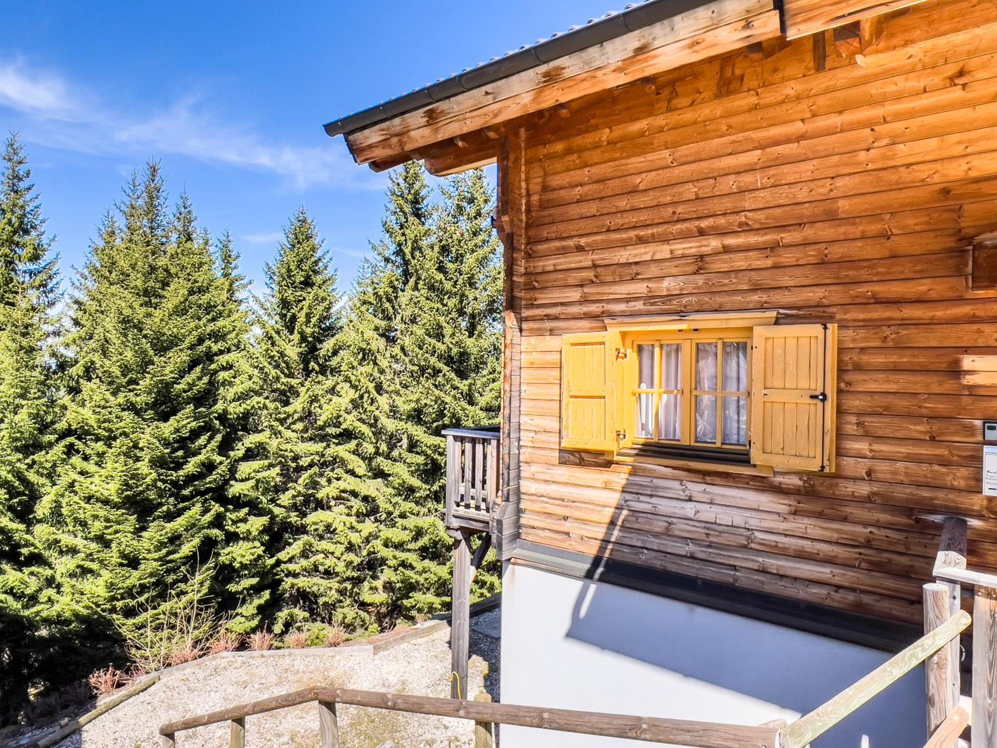 Vila 1A Chalet Enzianhuette - Ski Fahren Und Indoor Sauna Elsenbrunn Exteriér fotografie