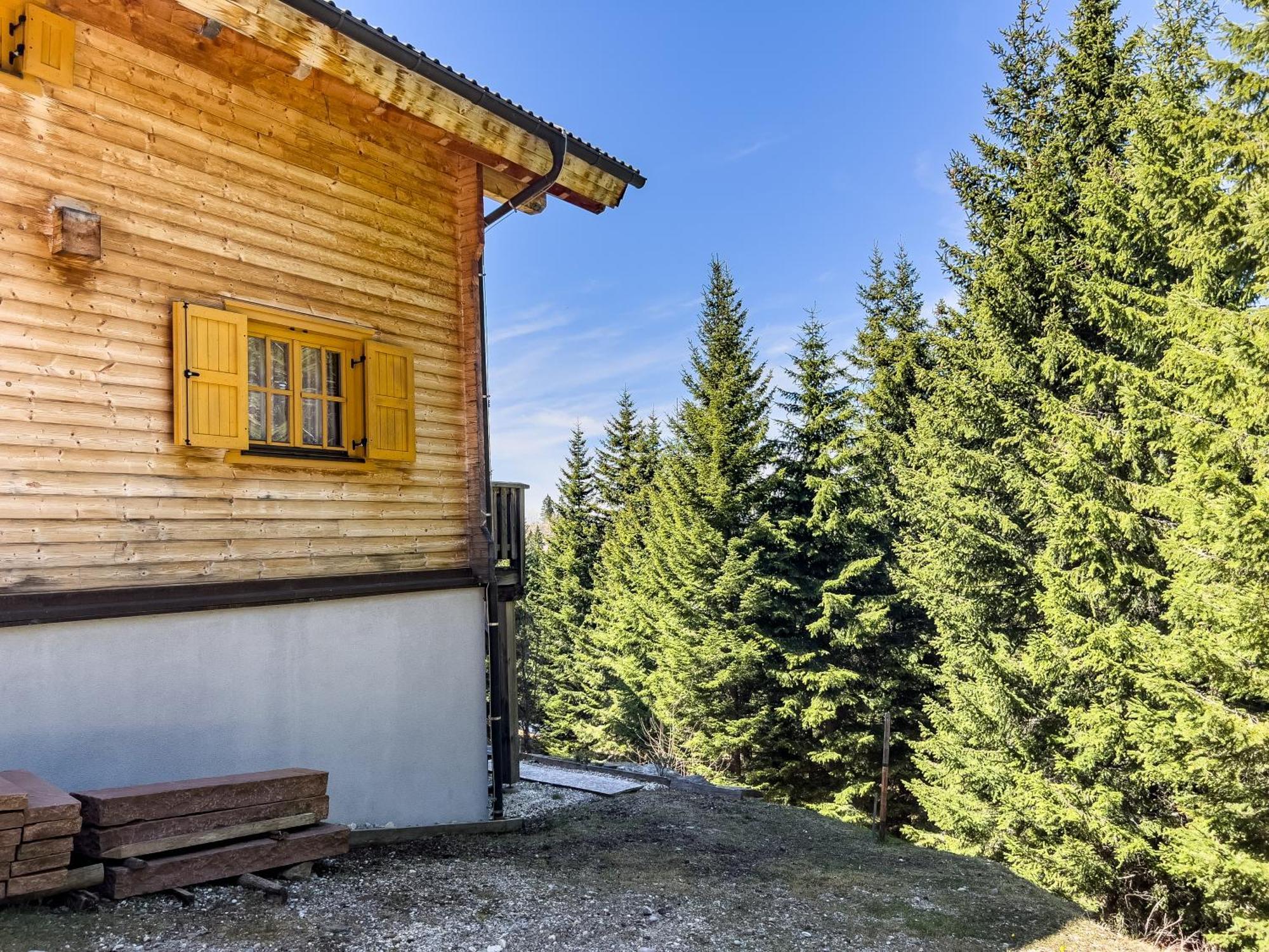 Vila 1A Chalet Enzianhuette - Ski Fahren Und Indoor Sauna Elsenbrunn Exteriér fotografie