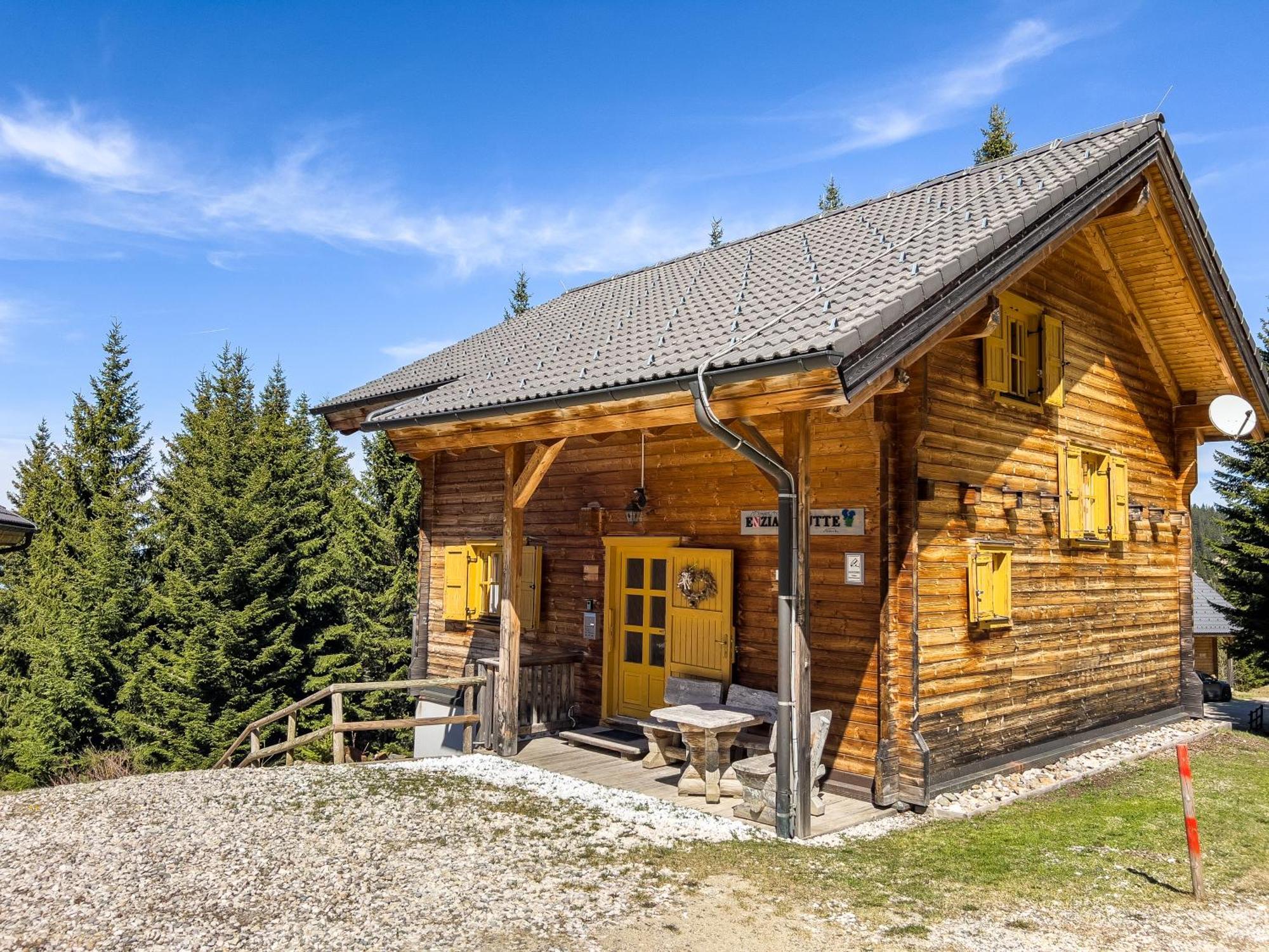 Vila 1A Chalet Enzianhuette - Ski Fahren Und Indoor Sauna Elsenbrunn Exteriér fotografie